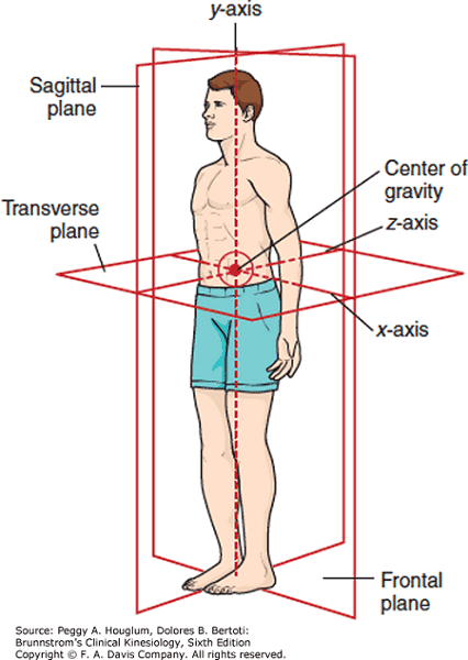 image of body axis stretching